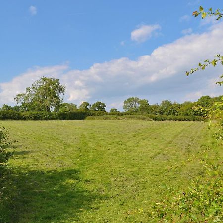 Tiger Villa Horsted Keynes Bagian luar foto