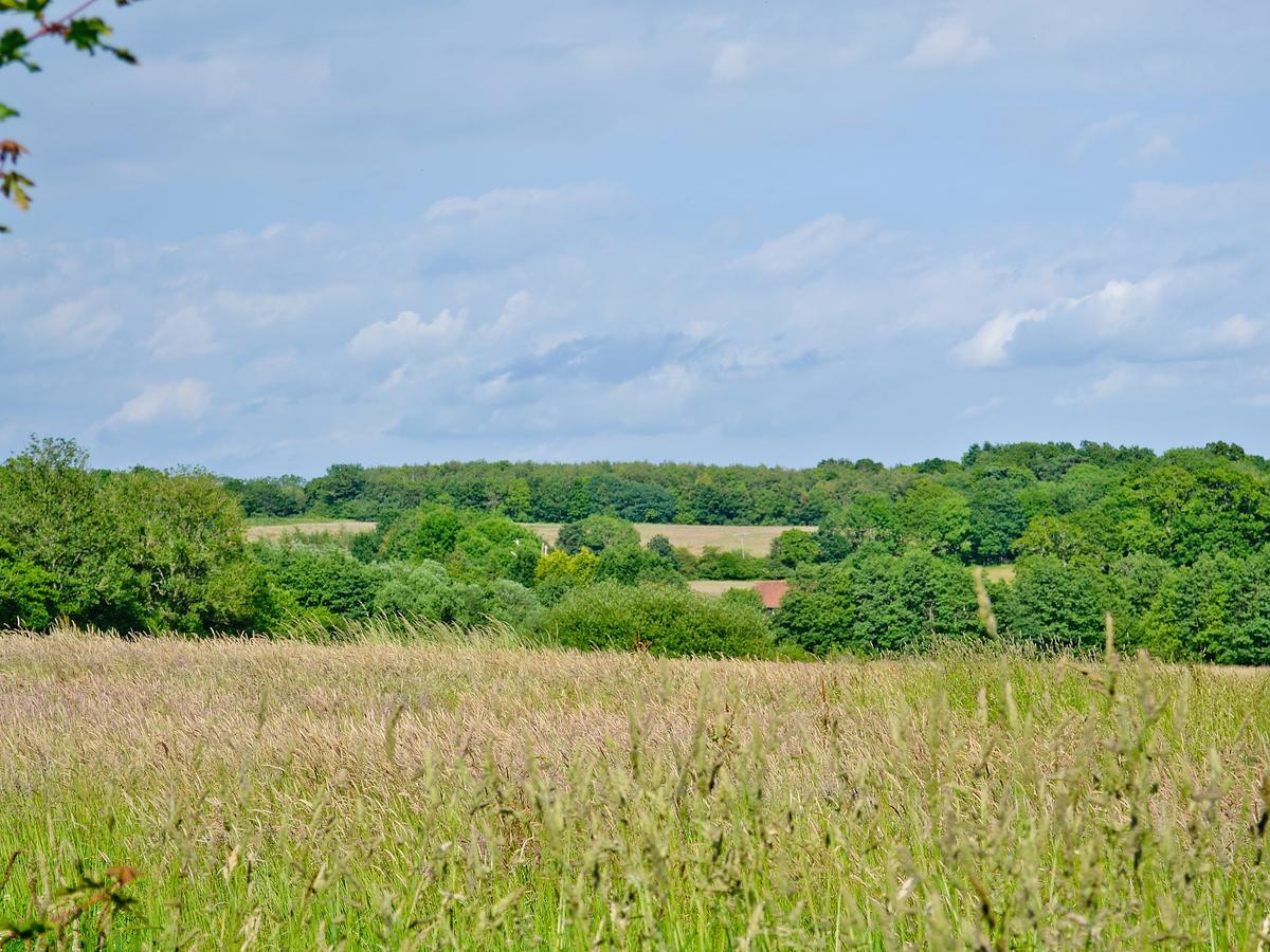 Tiger Villa Horsted Keynes Bagian luar foto