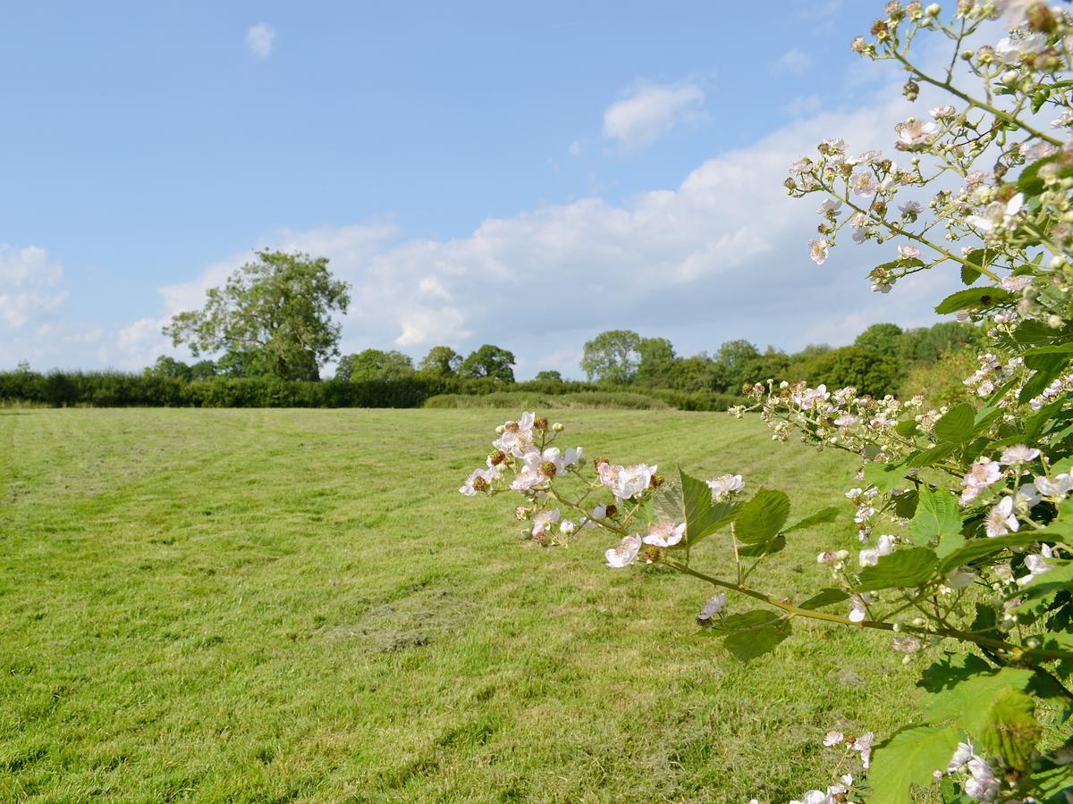 Tiger Villa Horsted Keynes Bagian luar foto